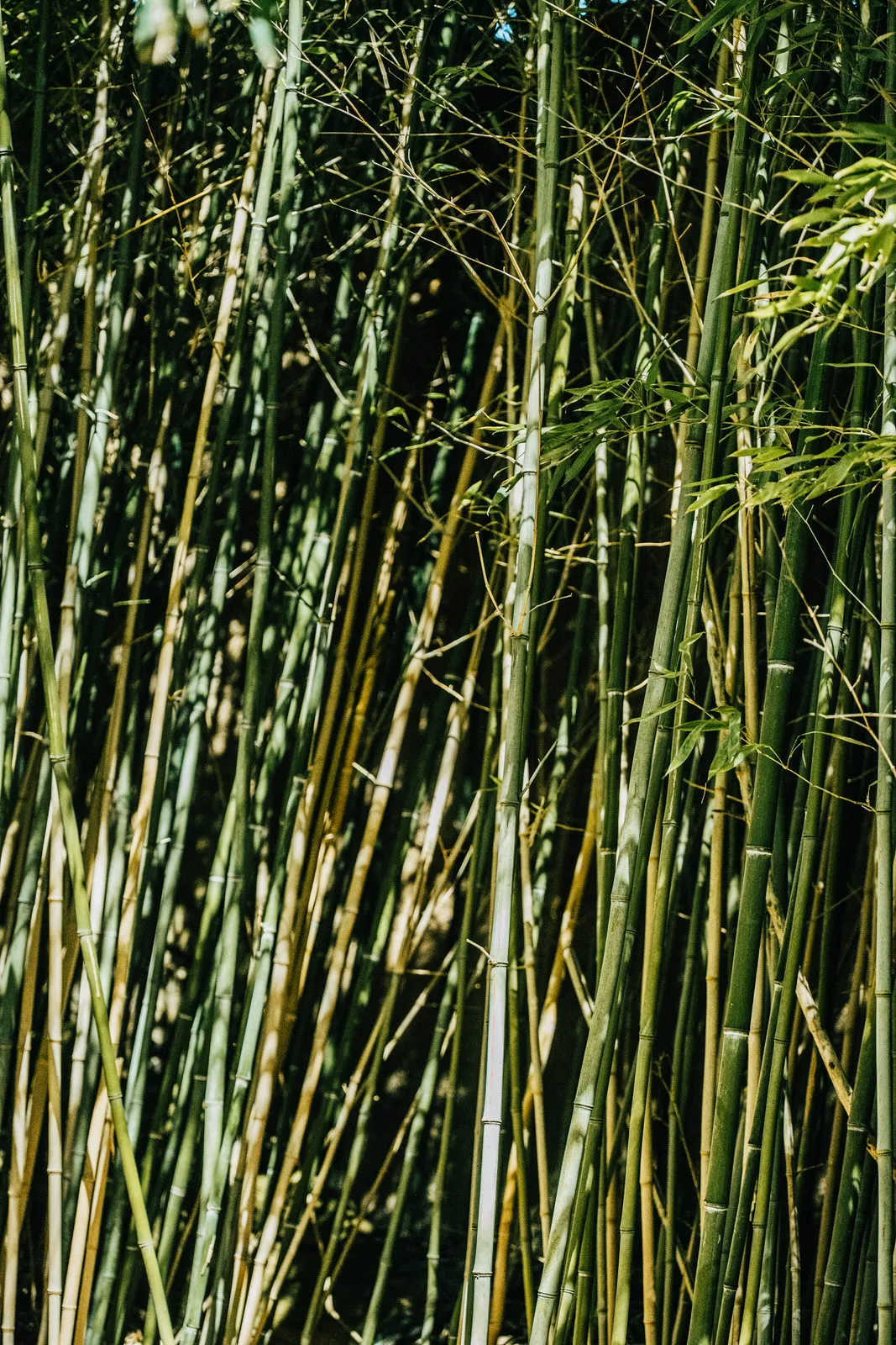 Fotografie und Design aus Dresden – Daniel Madlung Designstudio
