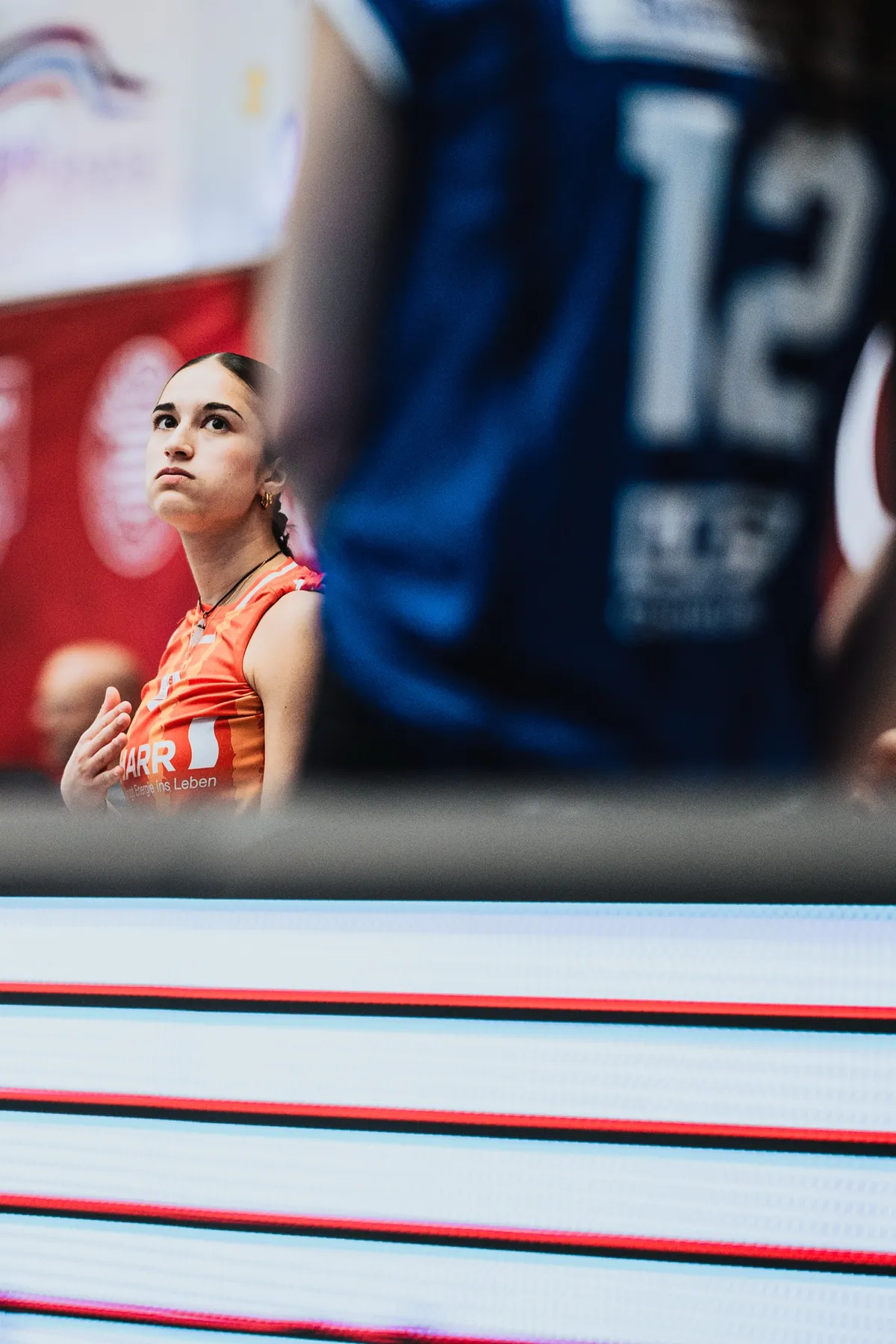 Dresdner SC – Volleyball-Bundesliga – Sportfotografie Dresden