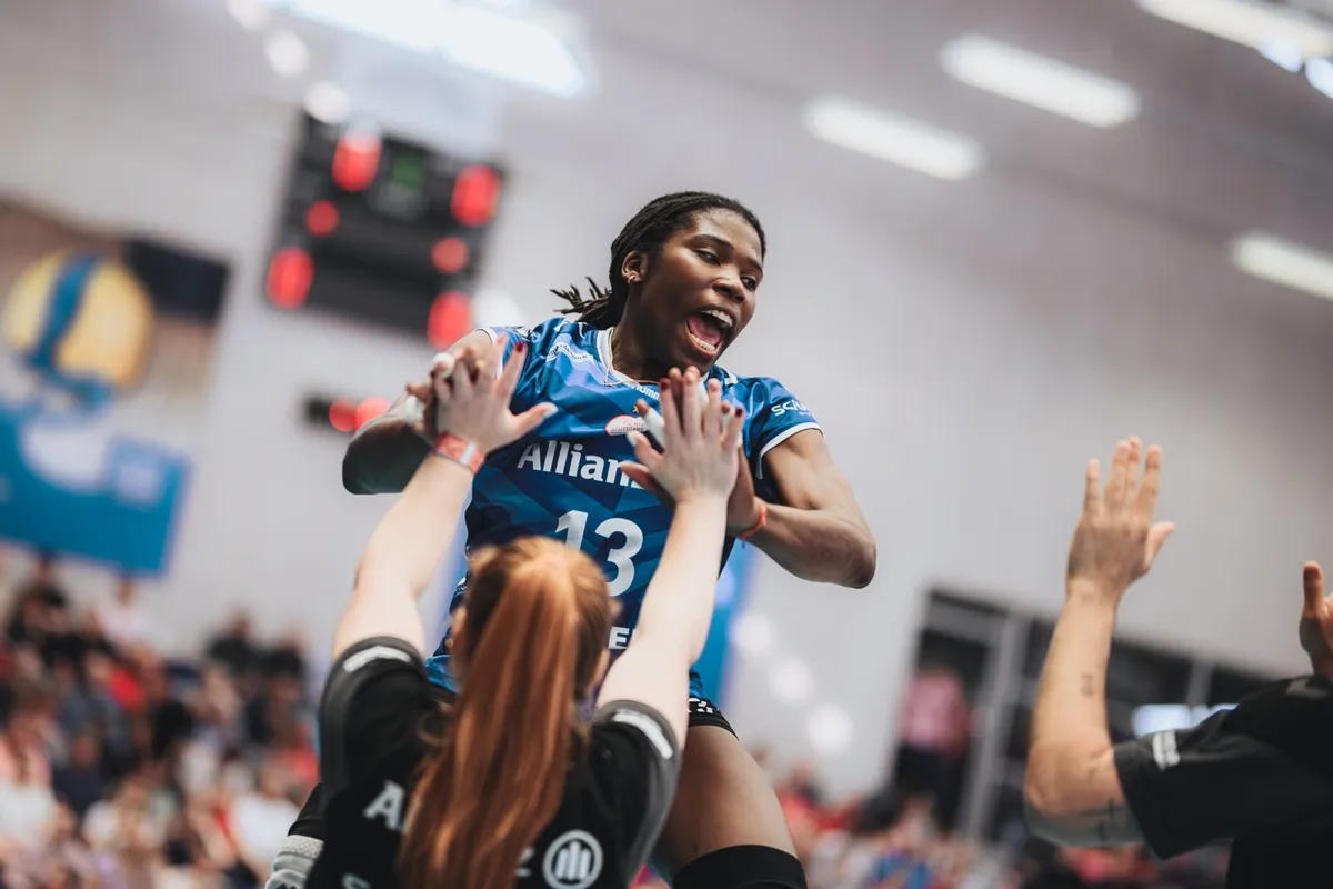 Dresdner SC – Volleyball-Bundesliga – Sportfotografie Dresden