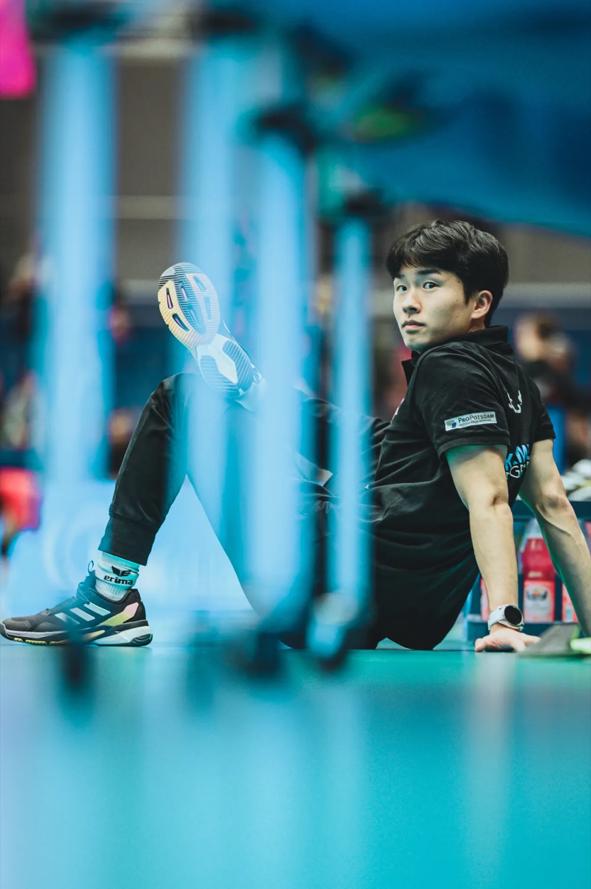 Dresdner SC – Volleyball-Bundesliga – Sportfotografie Dresden