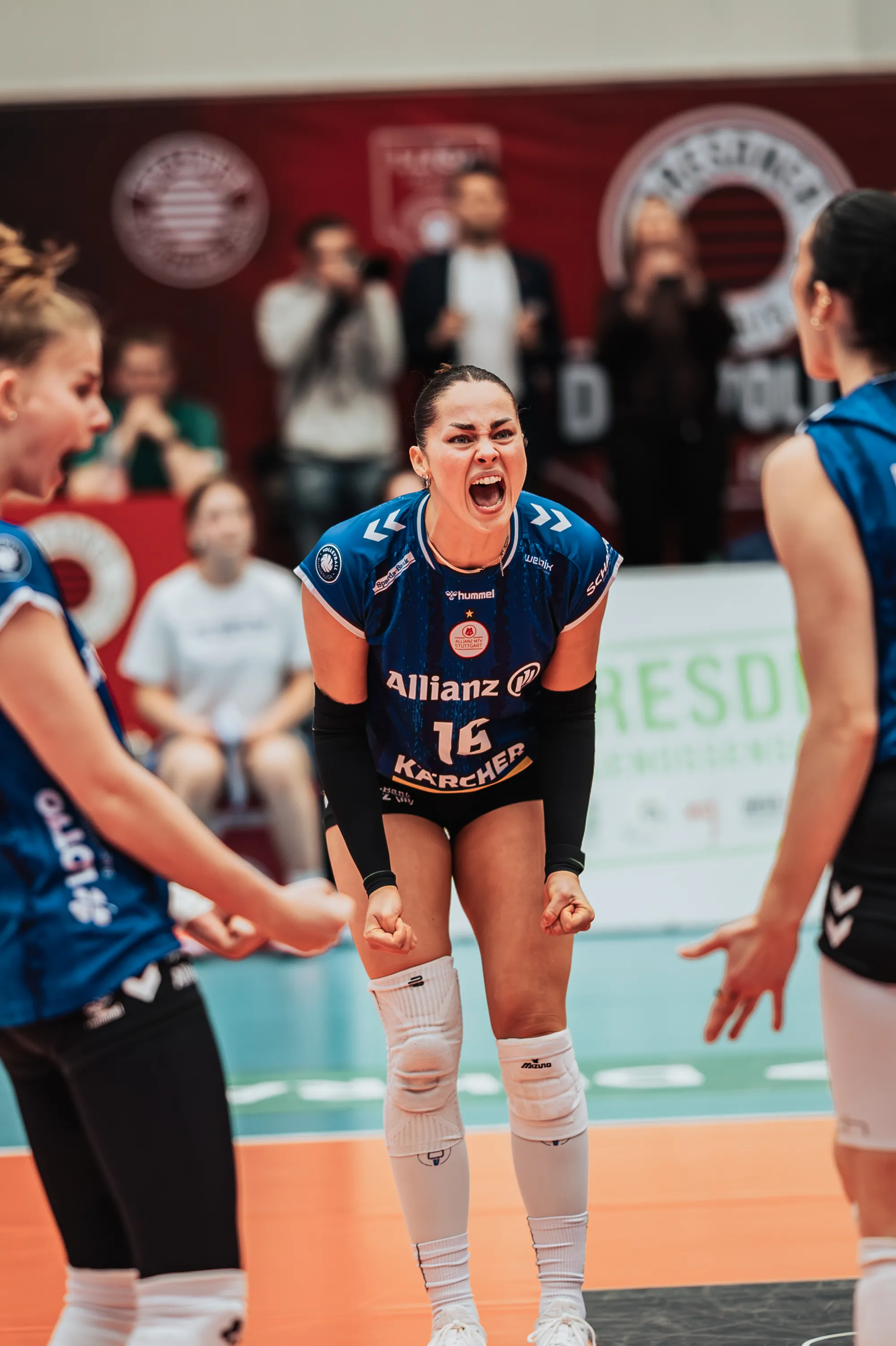 Dresdner SC – Volleyball-Bundesliga – Sportfotografie Dresden von Daniel Madlung – Bild 10