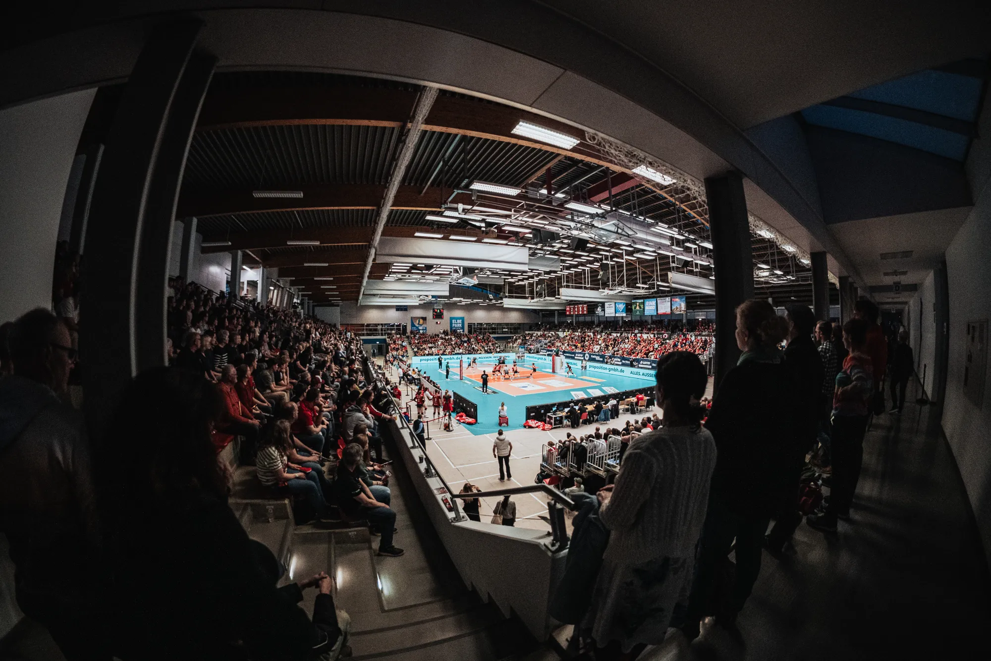 Dresdner SC – Volleyball-Bundesliga – Sportfotografie Dresden von Daniel Madlung – Bild 12