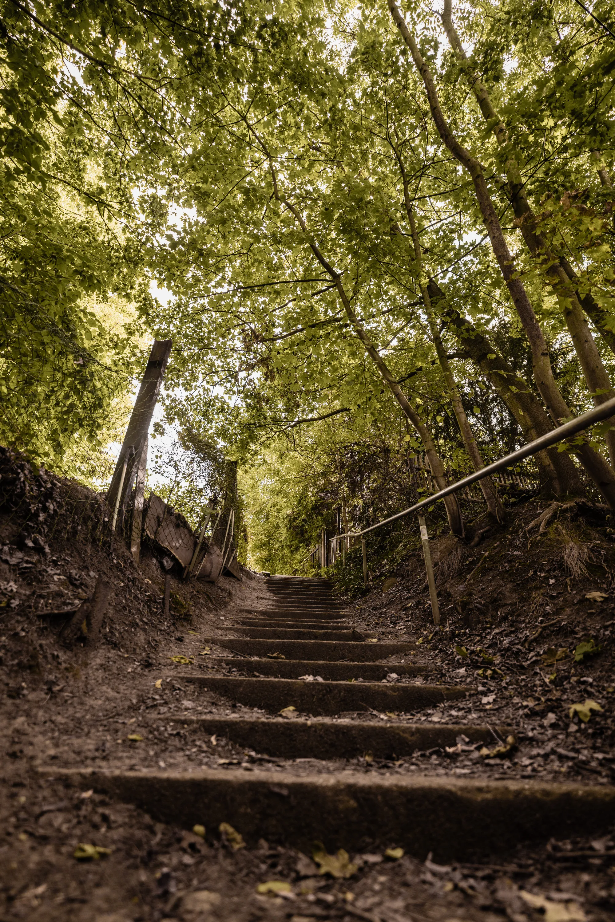 Fotografie und Design aus Dresden – Daniel Madlung Designstudio