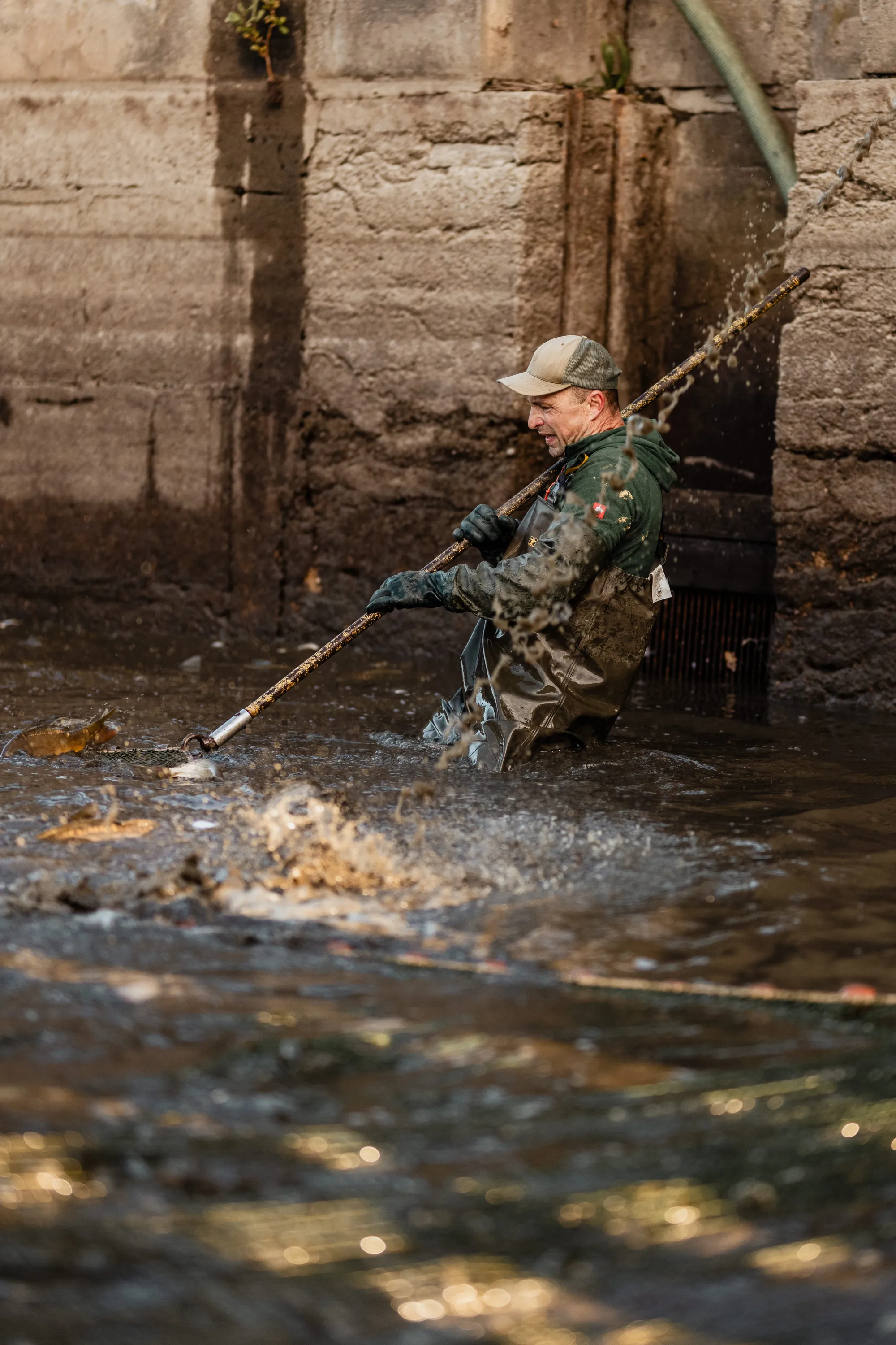 Robert Kretschmer – Abfischen Teichwirtschaft Greim bei Königswartha – Reportagefotografie Dresden von Daniel Madlung – Bild 12