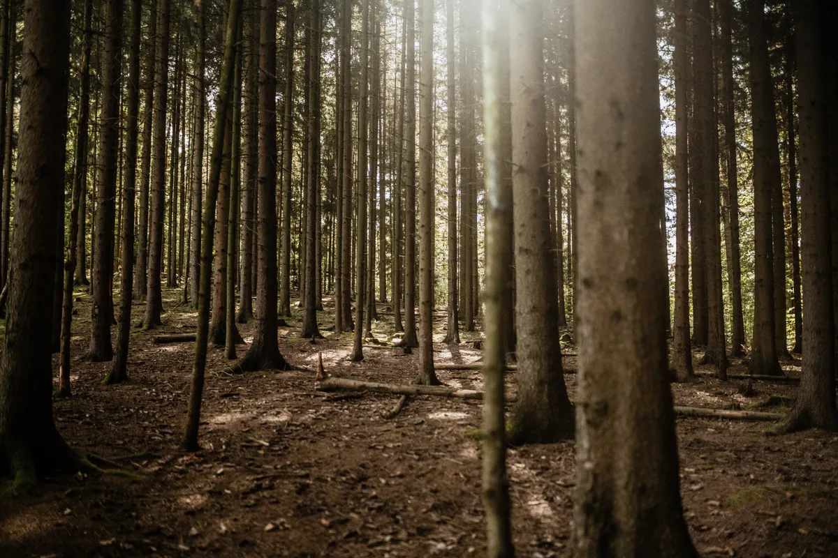 Fotografie und Design aus Dresden – Daniel Madlung Designstudio