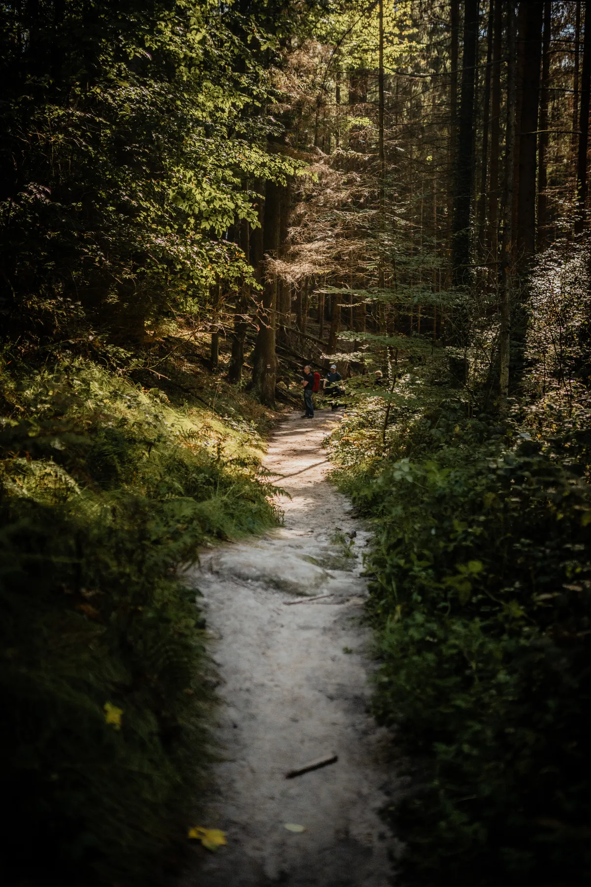 Fotografie und Design aus Dresden – Daniel Madlung Designstudio