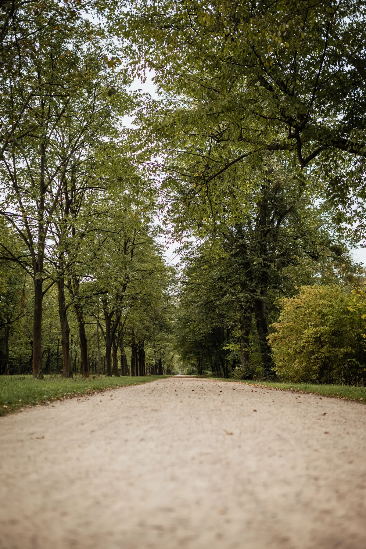 Architektur und Stadtbilder – Dresden – Reportagefotografie Dresden