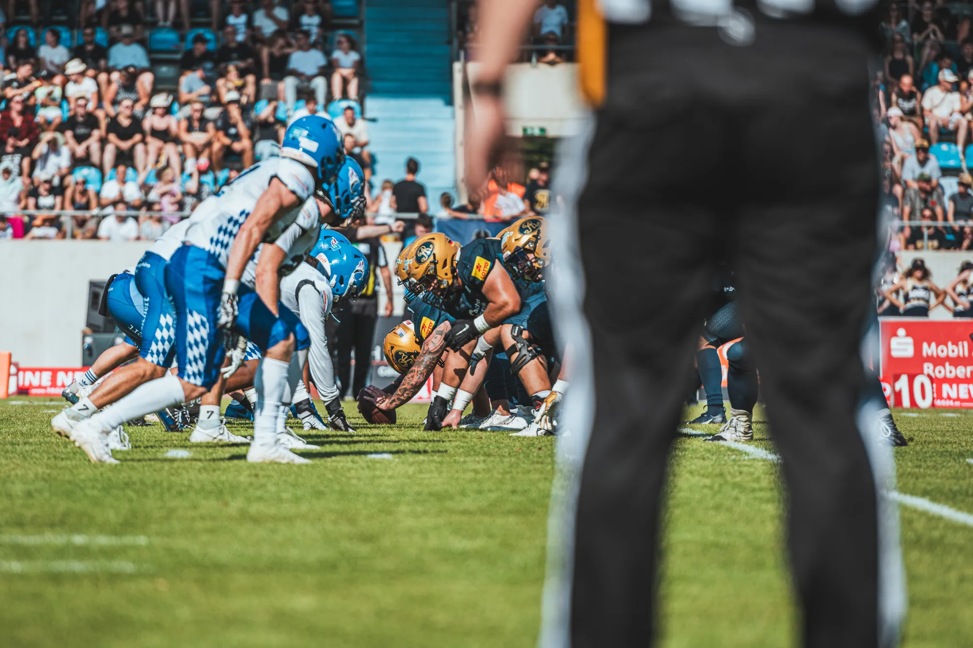 Dresden Monarchs – American Football – Sportfotografie Dresden von Daniel Madlung – Bild 4