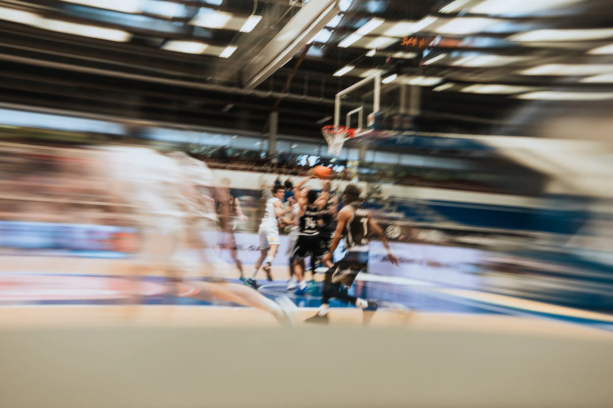 Dresden Titans vs. Rhöndorf Dragons – Basketball in Dresden – Sportfotografie Dresden von Daniel Madlung – Bild 10