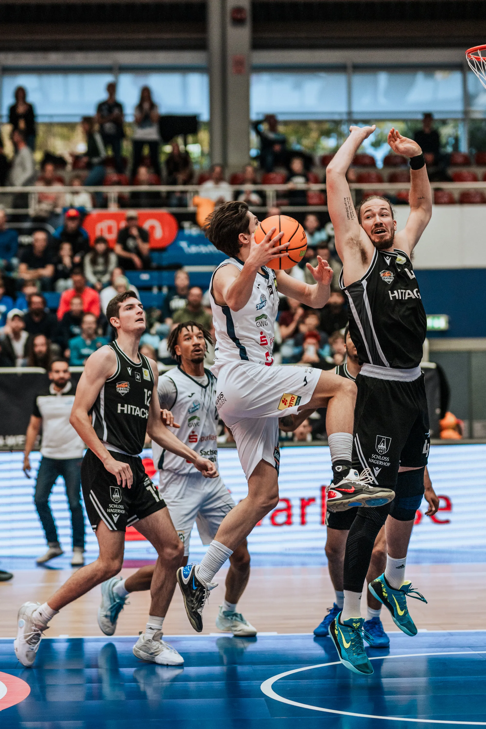 Dresden Titans vs. Rhöndorf Dragons – Basketball in Dresden – Sportfotografie Dresden von Daniel Madlung – Bild 11