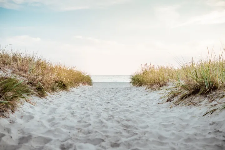 Sandweg durch die Dünen zum Ostseestrand bei Prerow – Urlaubsfoto von Daniel Madlung