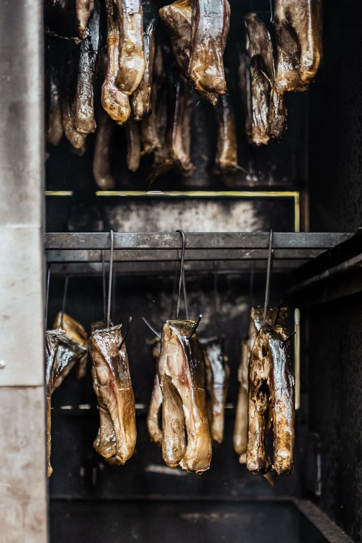 Lausitzer Fischwochen – Fischfest in Radibor – Reportagefotografie Radibor