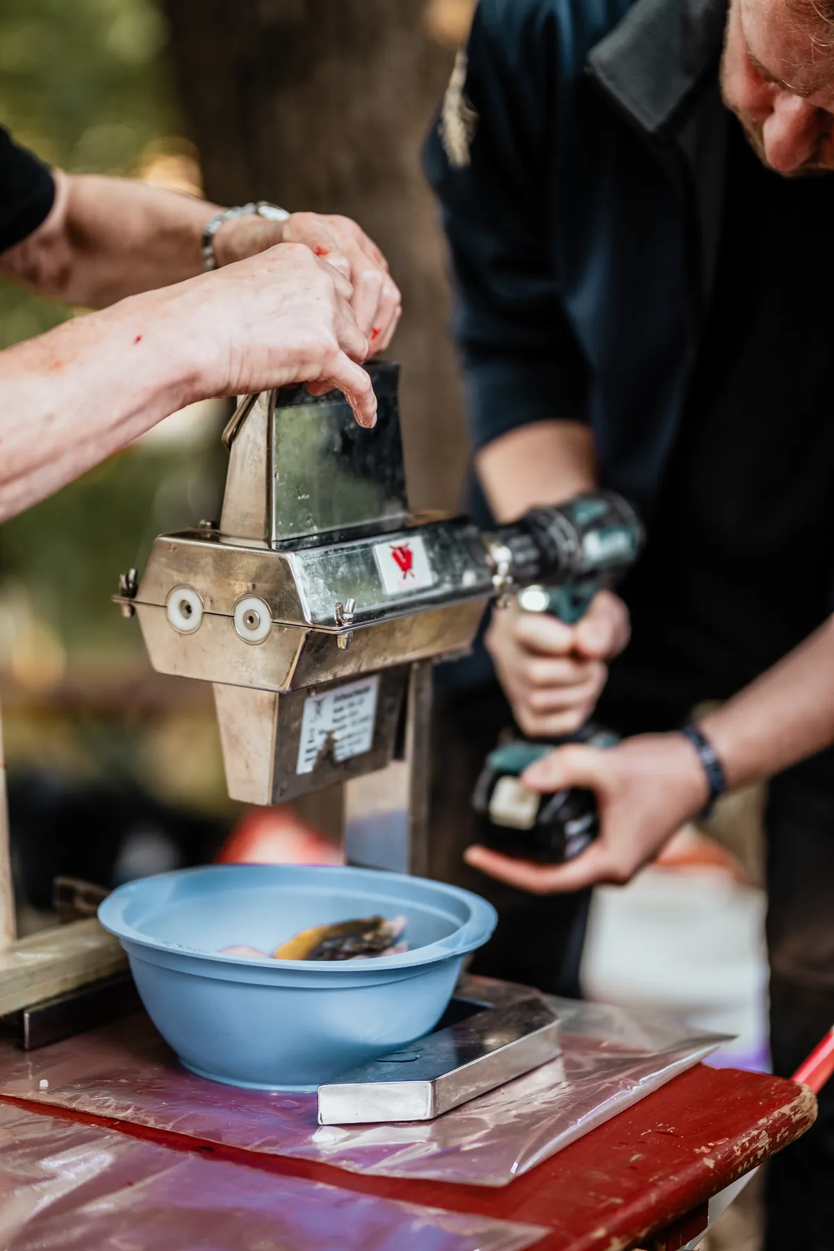 Lausitzer Fischwochen – Fischfest in Radibor – Reportagefotografie Radibor