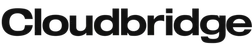 cloudbridge consulting