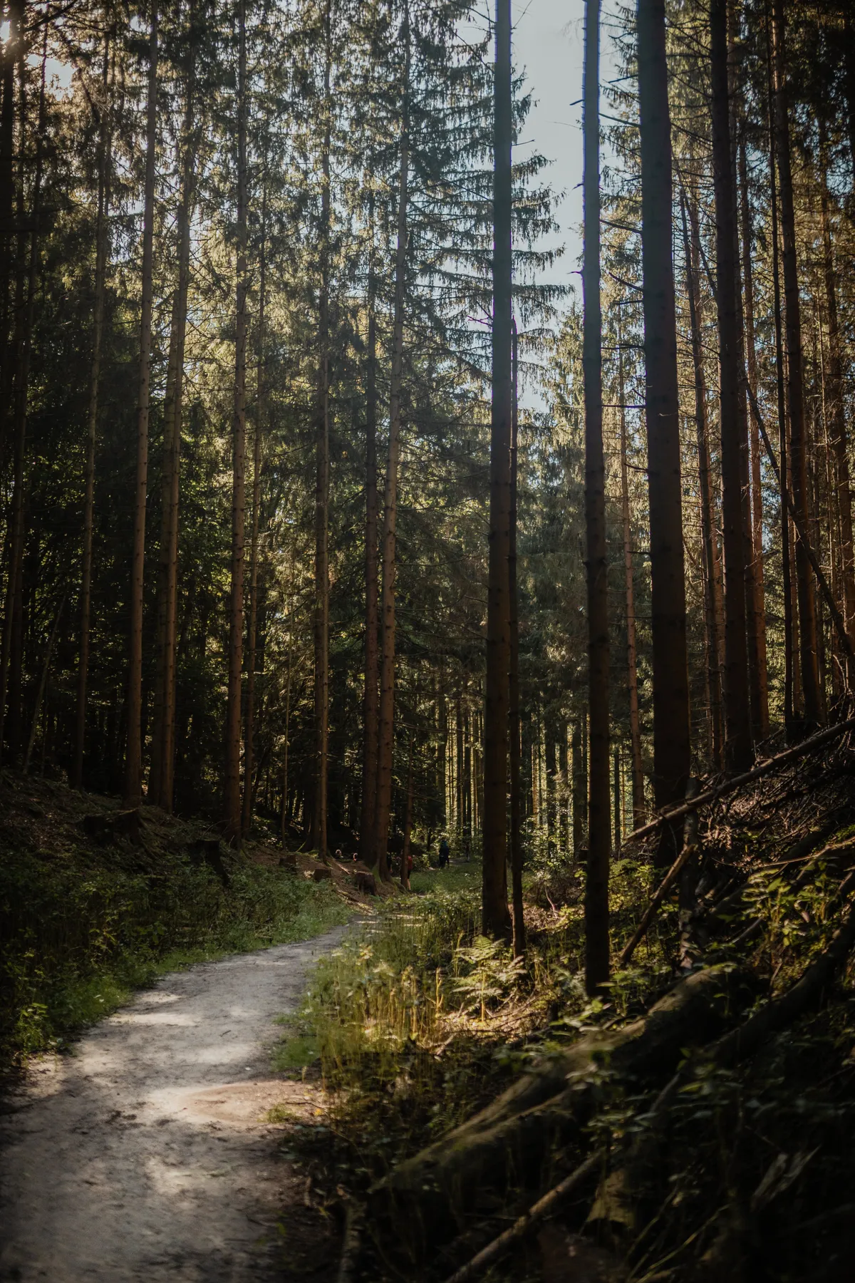 Rauensteine – Sächsische Schweiz bei Wehlen – Reportagefotografie Sächsische Schweiz