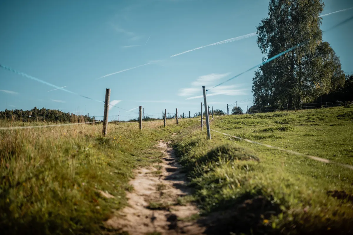 Rauensteine – Sächsische Schweiz bei Wehlen – Reportagefotografie Sächsische Schweiz